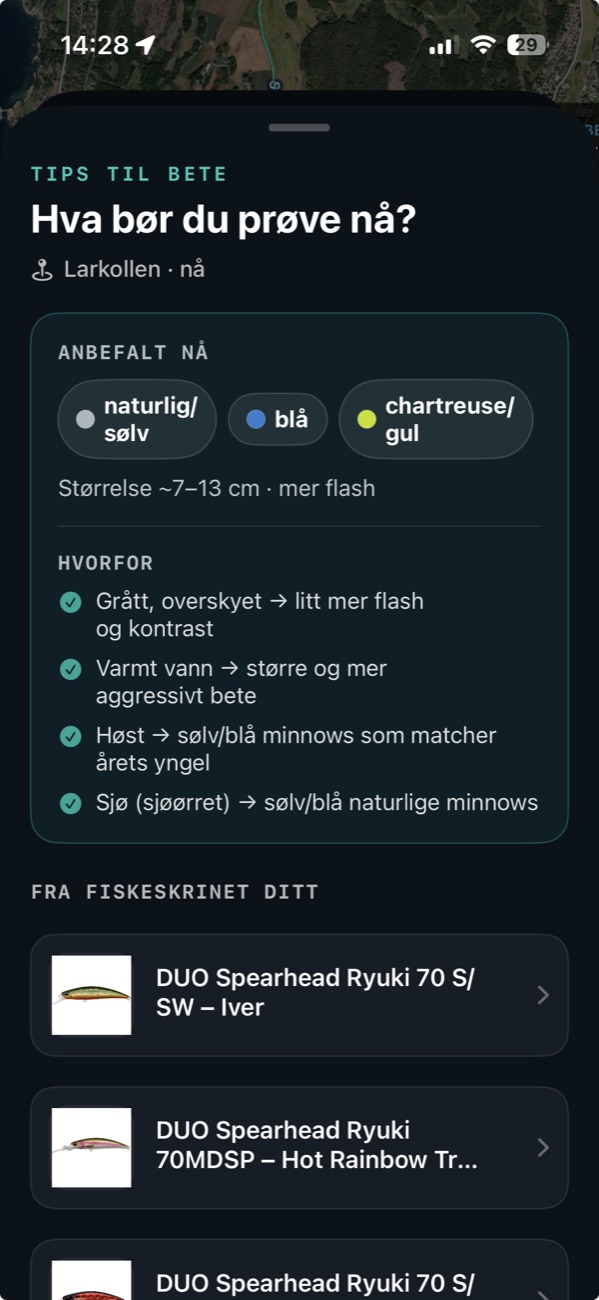 Betetips i Napp