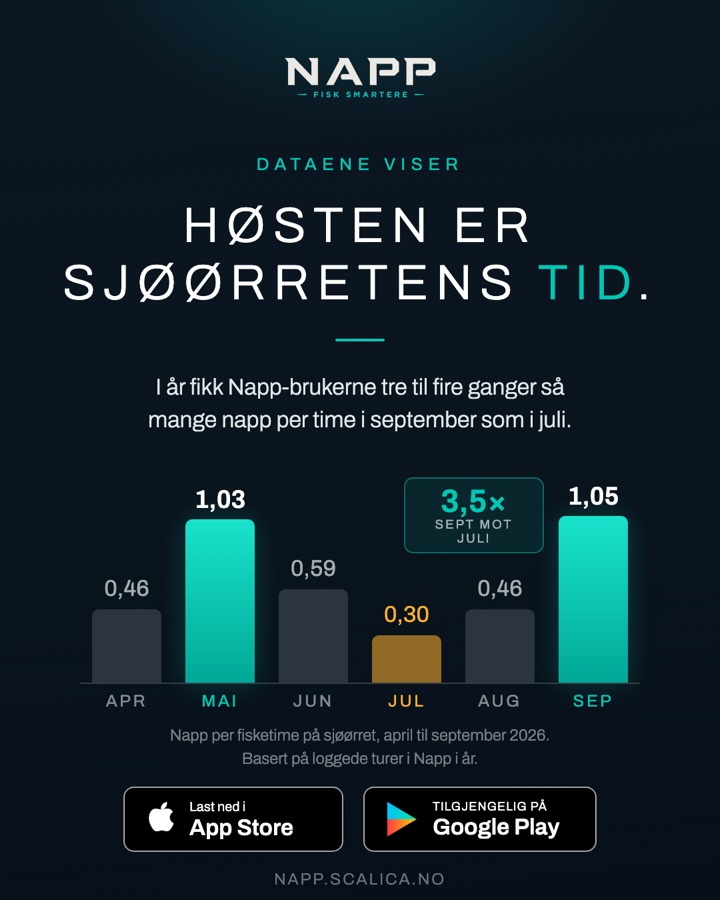 Høsten er sjøørretens tid