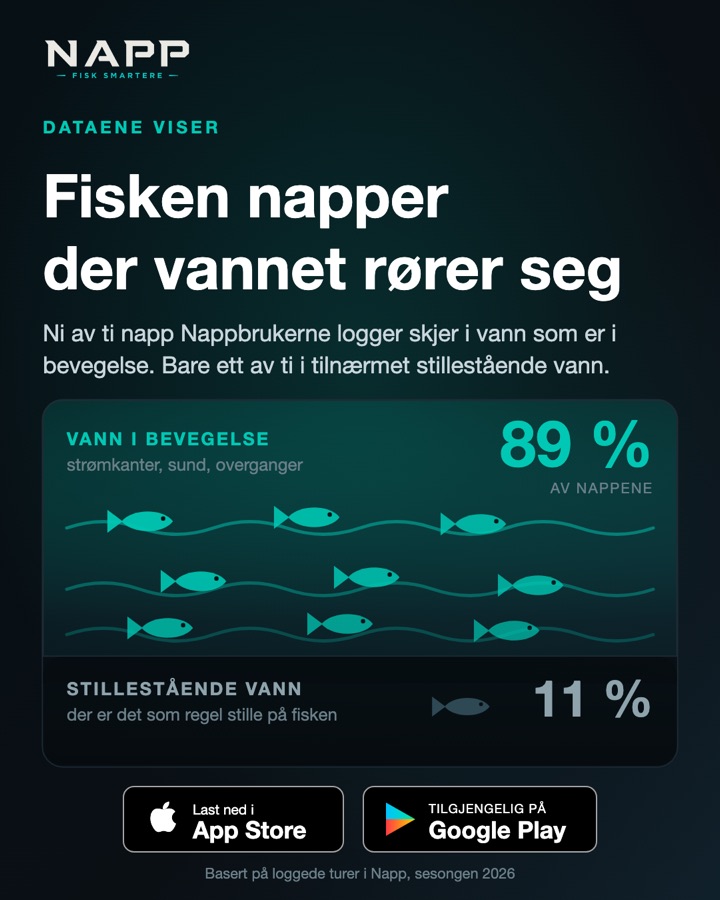 Fisken napper der vannet rører seg